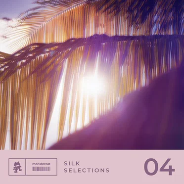 Silk Selections 04 by Various Artists - album cover