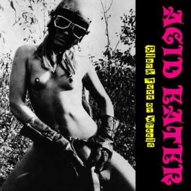 Black Fuzz on Wheels by Acid Eater - album cover