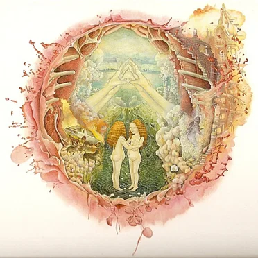 Arm’s Way by Islands - album cover