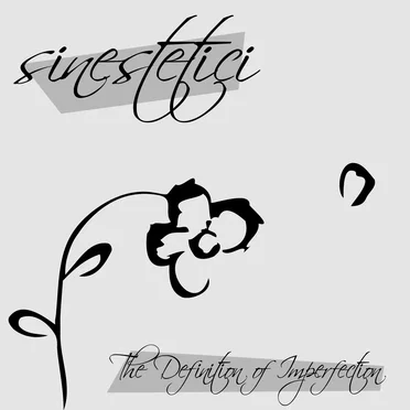 The Definition of Imperfection by Sinestetici - album cover
