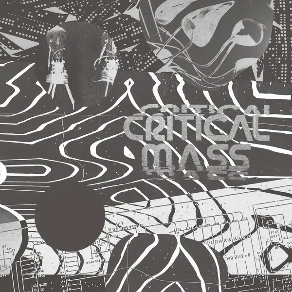 Critical Mass: Splinters From the Worldwide New‐Wave, Post-Punk and Industrial Underground 1978–1984