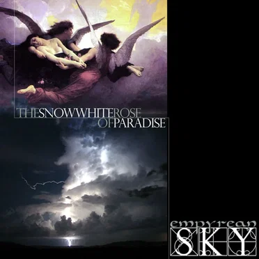 The Snow White Rose of Paradise