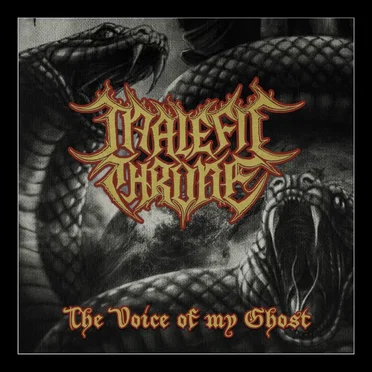 The Voice of My Ghost