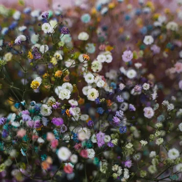 Modular live recording #11