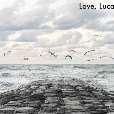 Love, Luca