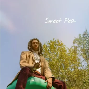 Sweet Pea by Jank setup - album cover