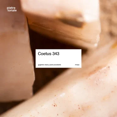 Coetus 343