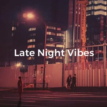 Late Night Vibes 2… by Various Artists - album cover