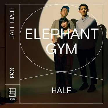 Half - Level Live 004