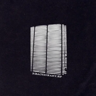Reactionary by stereo type - album cover
