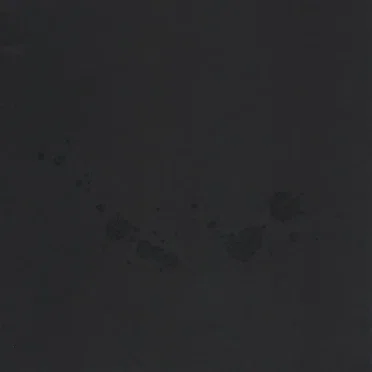 Songs For The Victims (From A Decaying Country)