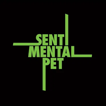 Shaking to the Bone by Sentimental Pet - album cover