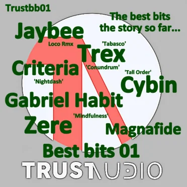 Trust Audio Best Bits 01 by Various Artists - album cover