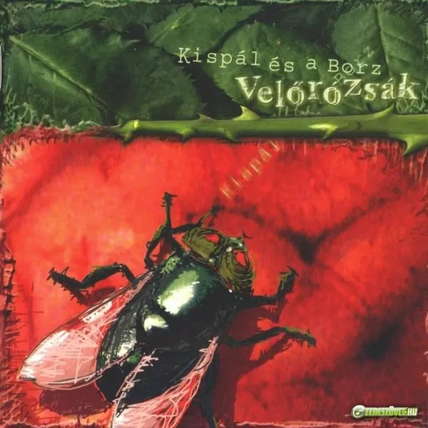 Velőrózsák