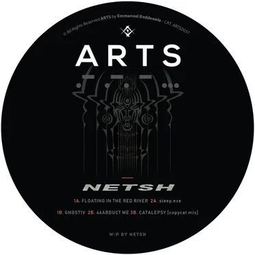 Artificial Sin by Netsh - album cover