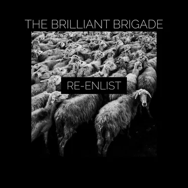 Re-enlist by The Brilliant Brigade - album cover