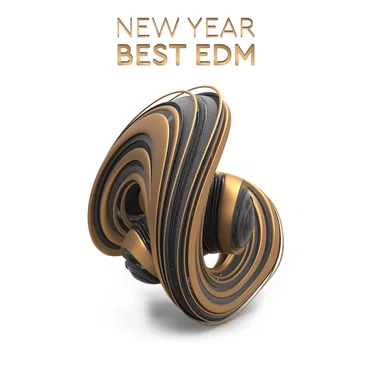 New Year Best EDM by Various Artists - album cover