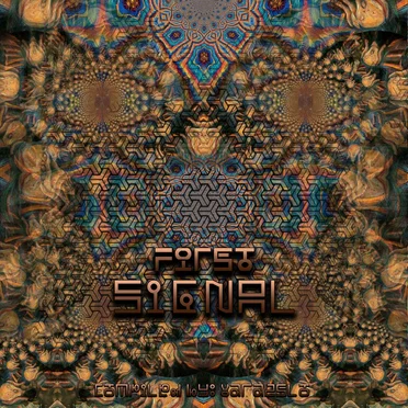 First Signal by Various Artists - album cover