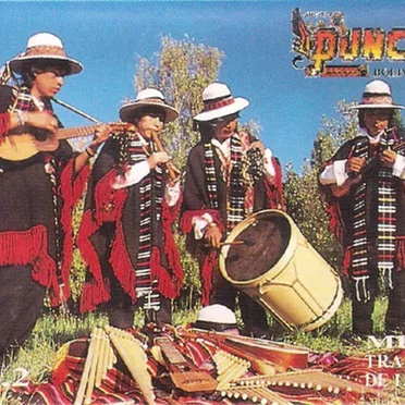 Musica Tradicional De Los Andes Vol. 2 by P'unchay - album cover