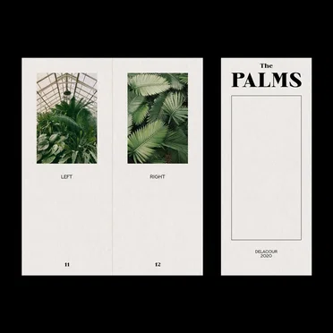 The Palms by Delacour - album cover