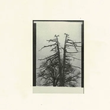 demos by Cancer House - album cover
