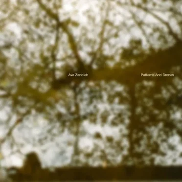 Patterns and Drones