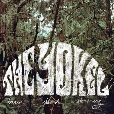 Brain Dead Storming by The Yokel - album cover