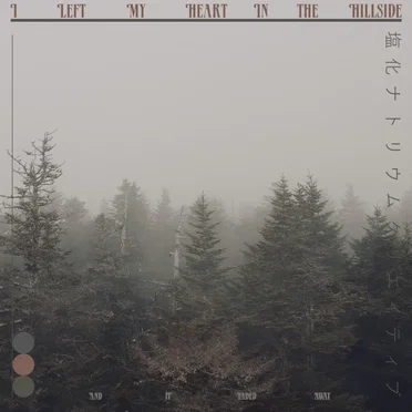 I Left My Heart in the Hillside