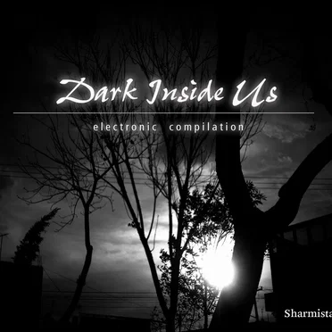 Dark Inside Us 2013 by Various Artists - album cover