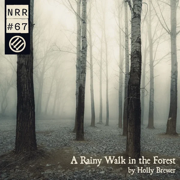 A Rainy Walk in the Forest