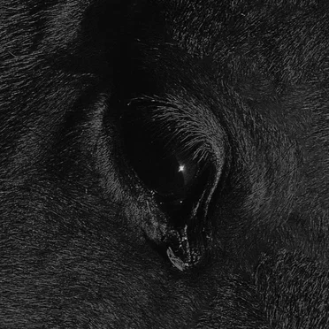 isochron by nara is neus - album cover