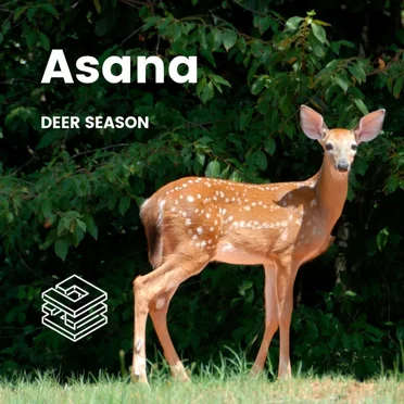 Asana