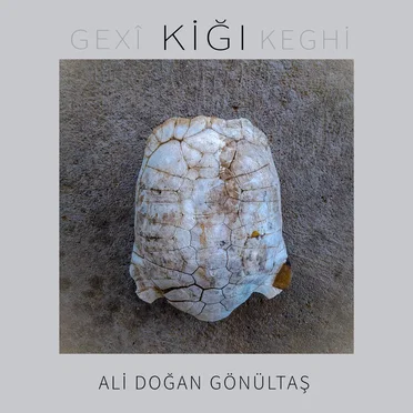Kiğı