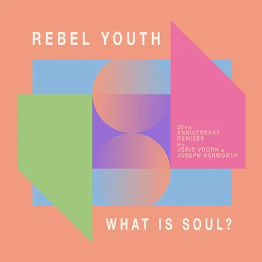 What Is Soul? by Rebel Youth - album cover
