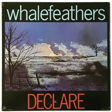 Declare