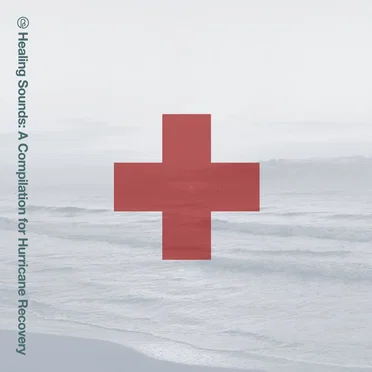 Healing Sounds: A Compilation for Hurricane Recovery by Various Artists - album cover