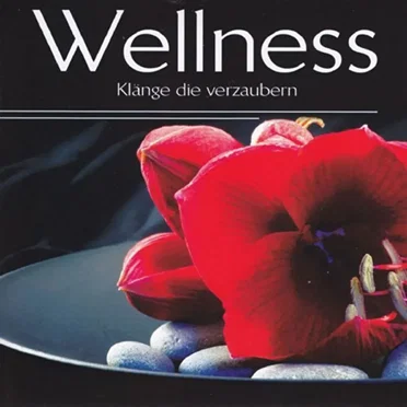 Wellness: Klänge die verzaubern by Korte - album cover