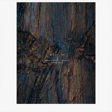 VIII by s.soo - album cover