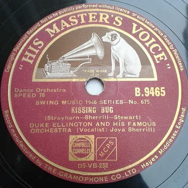 Kissing Bug / Everything but You