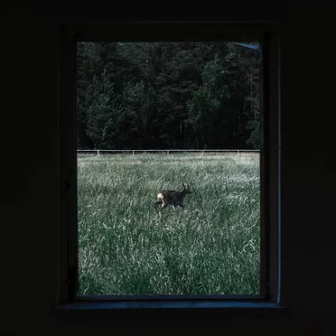 Our Fears Won’t Save Us