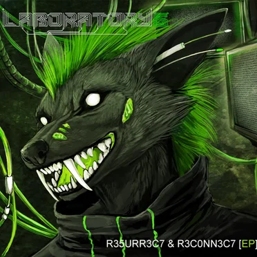 R35URR3C7 & R3C0NN3C7 [EP]