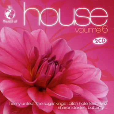 The World of House, Volume 6 by Various Artists - album cover