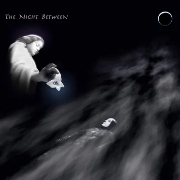 The Night Between