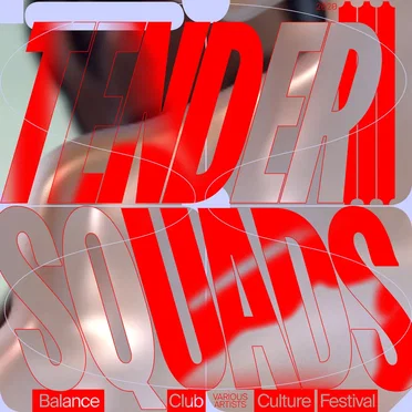 Tender Squads by Various Artists - album cover