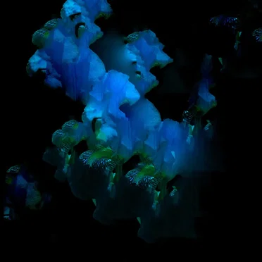 Chroma