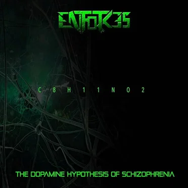 The Dopamine Hypothesis Of Schizophrenia by Enforces - album cover