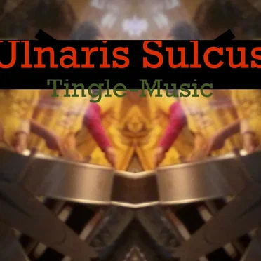 Tingle-Music by Ulnaris Sulcus - album cover