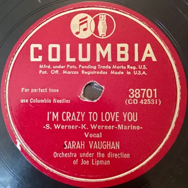 I’m Crazy to Love You / Summertime