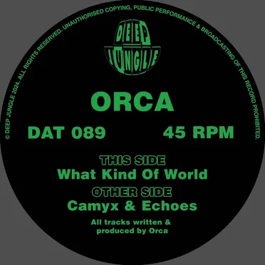 What Kind of World / Camyx / Echoes
