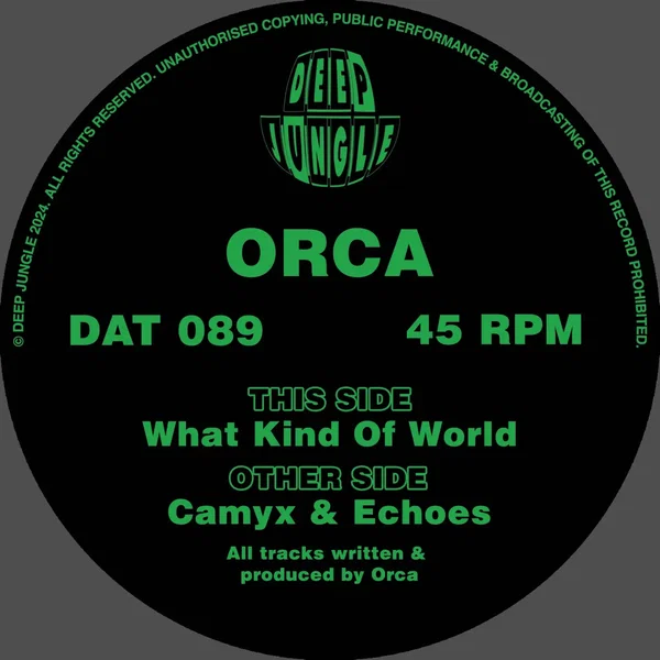 What Kind of World / Camyx / Echoes